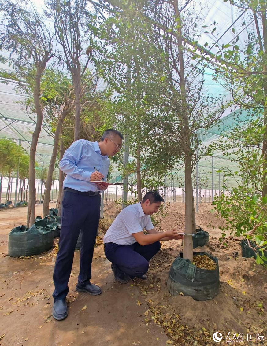 工作人员在检查绿植生长情况。人民网记者管克江摄