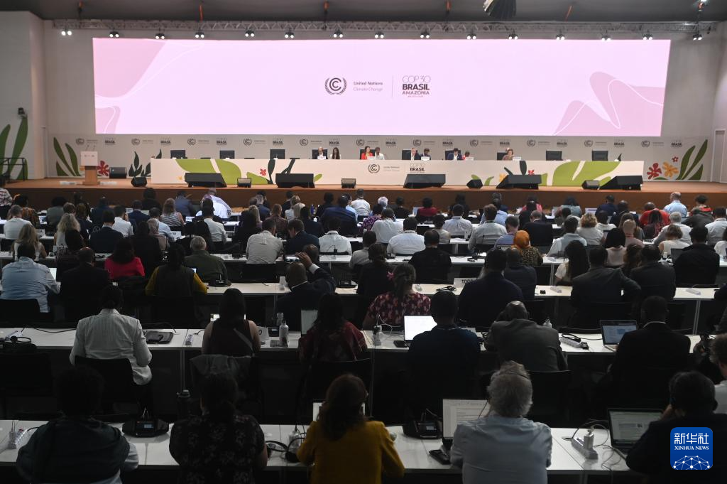 11月21日，代表参加在巴西贝伦举行的《联合国气候变化框架公约》第三十次缔约方大会（COP30）。新华社发（卢西奥·塔沃拉 摄）
