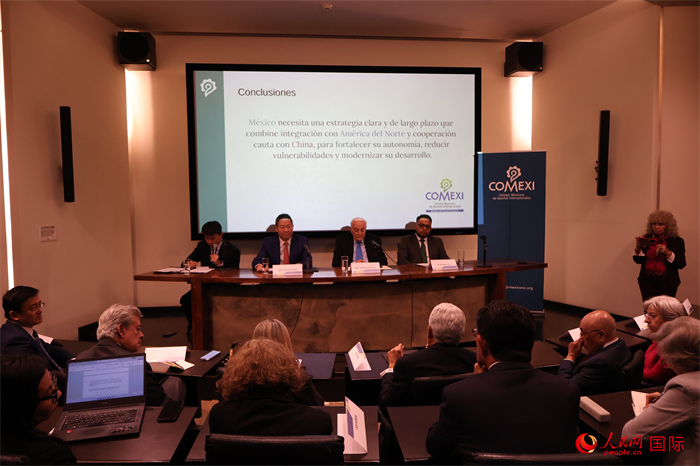 活动现场。人民网 埃内斯托·多明戈斯摄