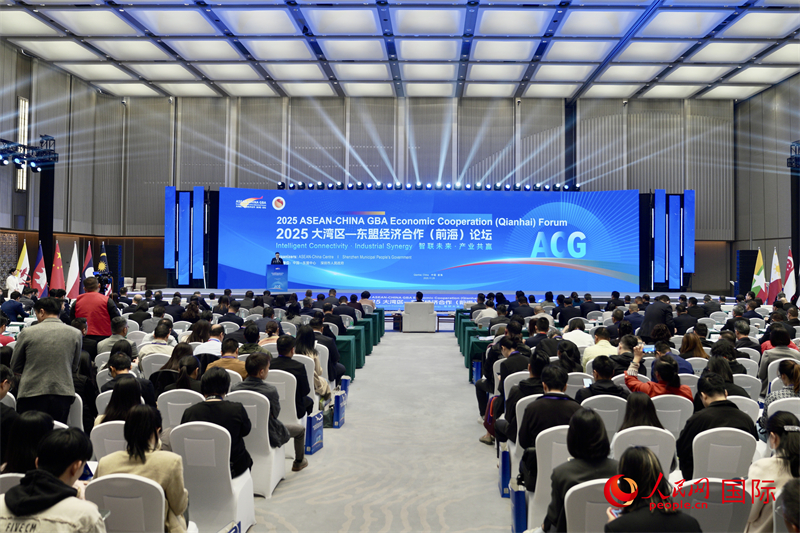2025大湾区-东盟经济合作（前海）论坛现场。人民网记者 许峥摄