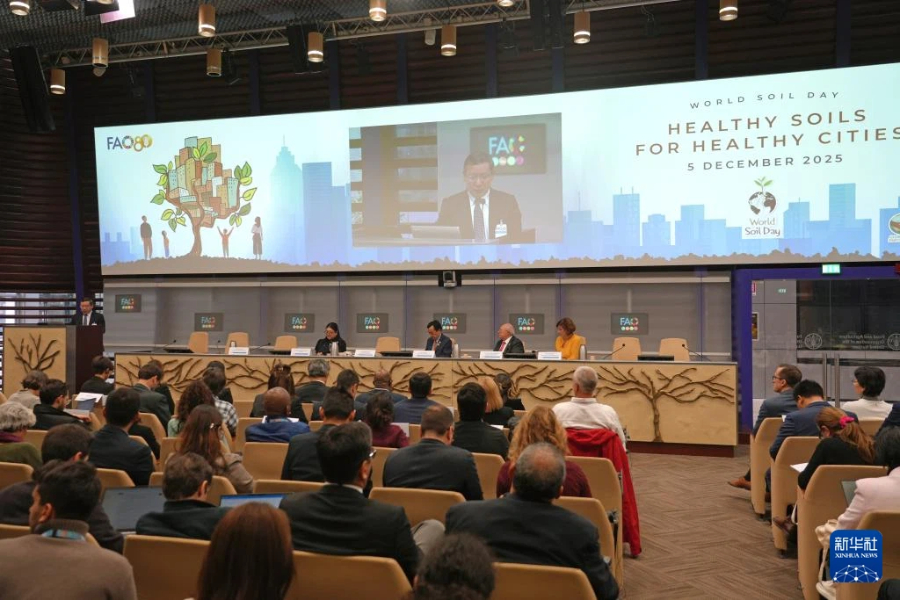 12月5日，在意大利首都罗马，张甘霖在活动现场发言。新华社记者 任耀庭 摄