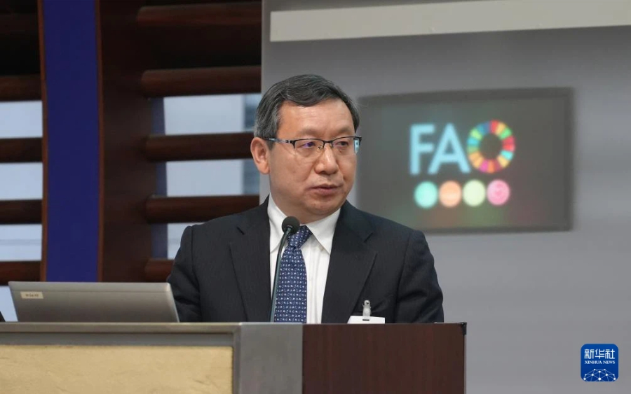 12月5日，在意大利首都罗马，张甘霖在活动现场发言。新华社记者 任耀庭 摄