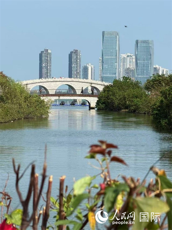 海南省海口市，从万绿园眺望城市天际线。 人民网 王潇平摄