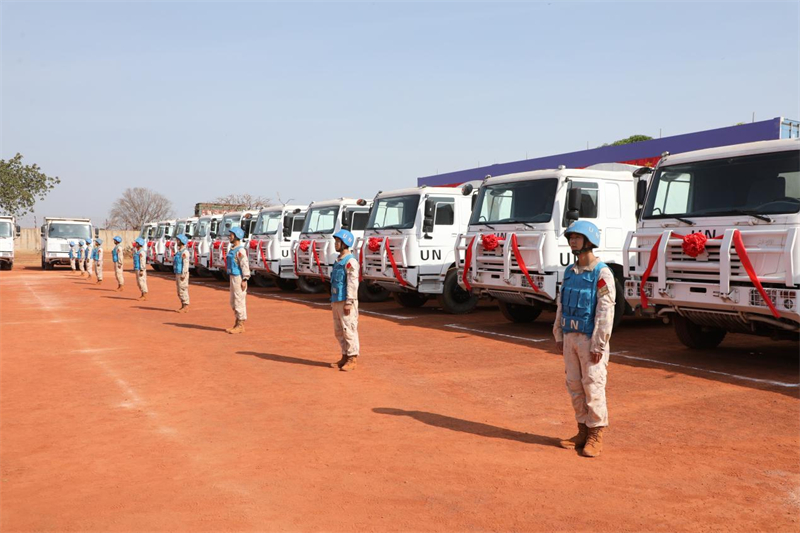仪式现场。维和工兵分队供图