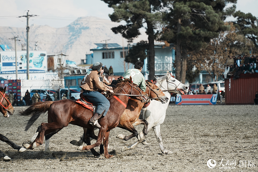阿富汗首都喀布尔举行“马背叼羊”比赛。人民网记者 章凯风摄