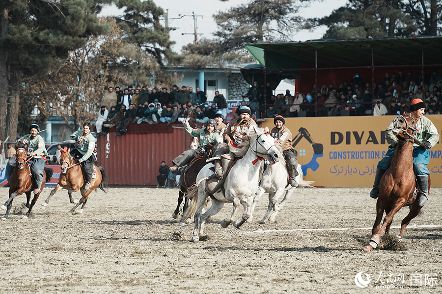 阿富汗首都喀布尔举行“马背叼羊”比赛。人民网记者 章凯风摄