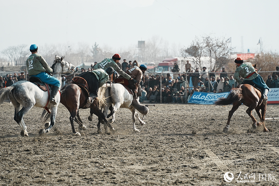阿富汗首都喀布尔举行“马背叼羊”比赛。人民网记者 章凯风摄