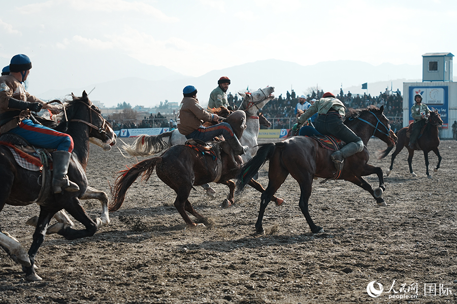 阿富汗首都喀布尔举行“马背叼羊”比赛。人民网记者 章凯风摄