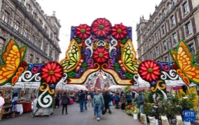 墨西哥城：新年气氛渐浓