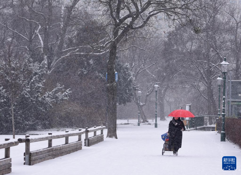 1月9日，在奥地利维也纳，一名女子行走在城市公园里。新华社记者 贺灿铃 摄