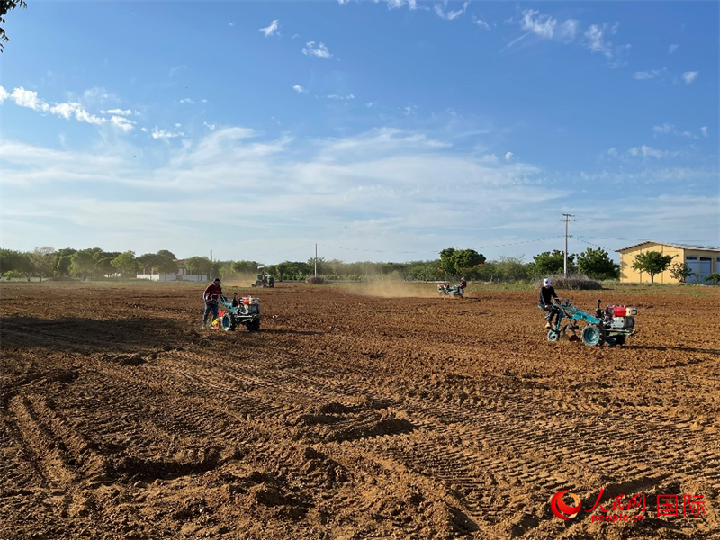 在巴西北里奥格兰德州小镇阿波迪，当地农业技术人员和农民正在参加中国农机操作培训。人民网 迪奥任塞·诺夫雷加摄
