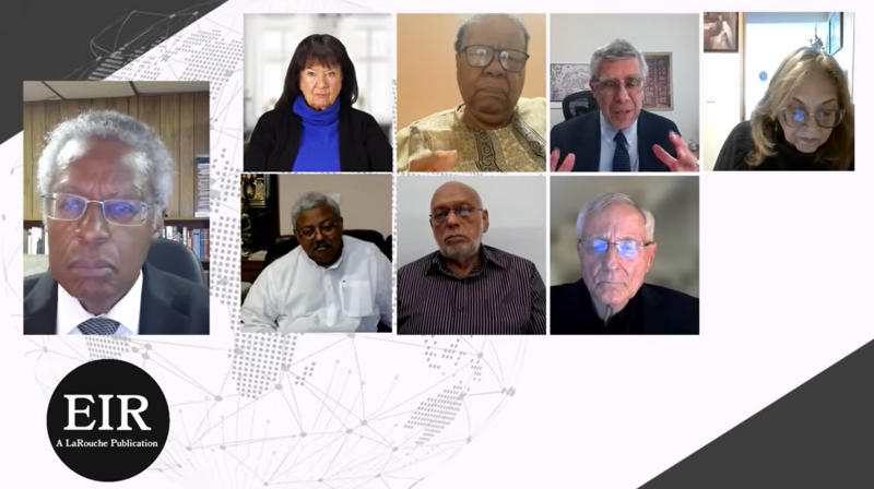 图为网络研讨会截屏。