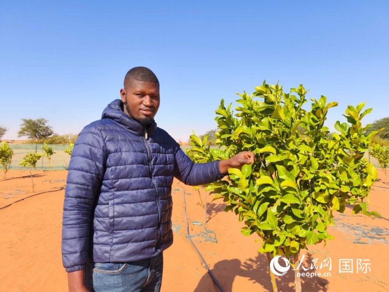 中非绿色技术公园的当地工人 人民网记者黄培昭摄