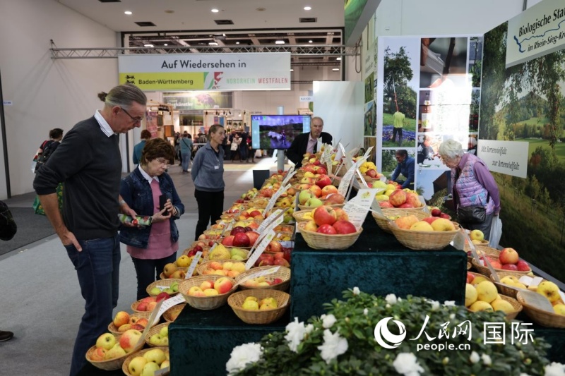 图为观众在查看果蔬展区不同品类的苹果展示。刘仲华摄