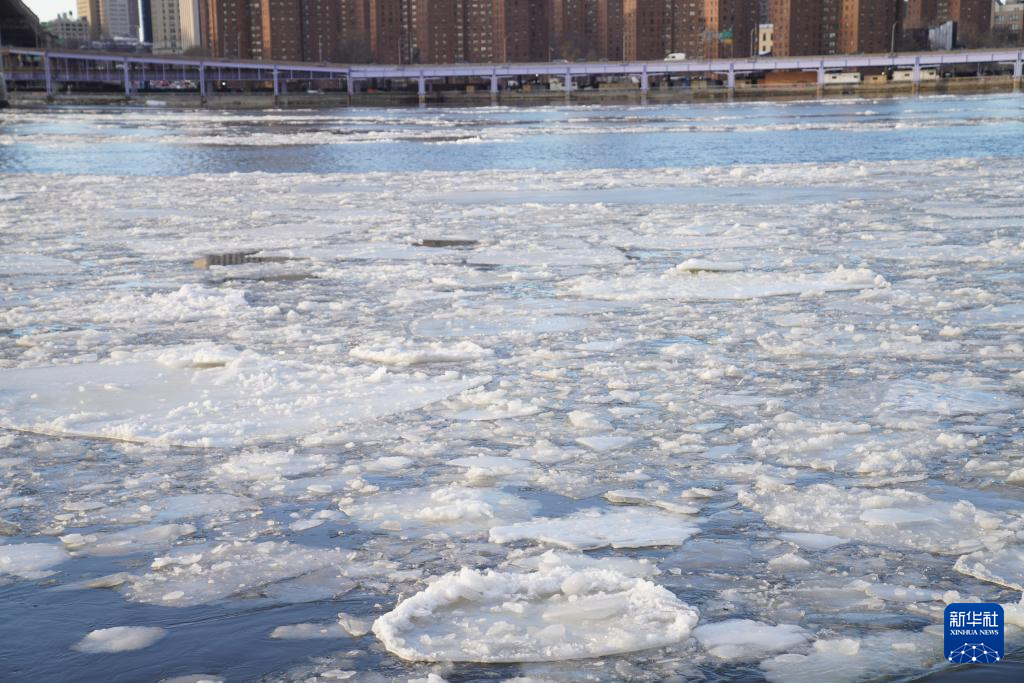 这是1月31日在美国纽约拍摄的水上浮冰。