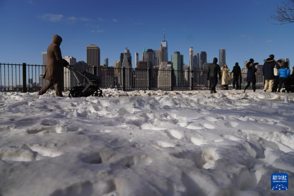 这是1月31日在美国纽约拍摄的积雪。