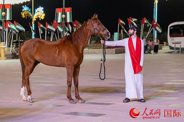 活动现场,阿拉伯骏马增添节日氛围。人民网 塔里克·易卜拉欣摄