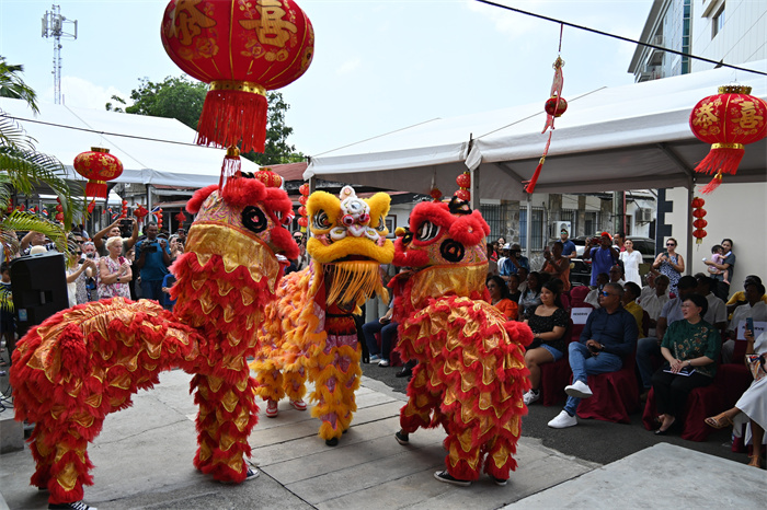 庙会现场。中国驻塞舌尔使馆供图
