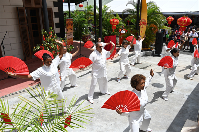 庙会现场。中国驻塞舌尔使馆供图