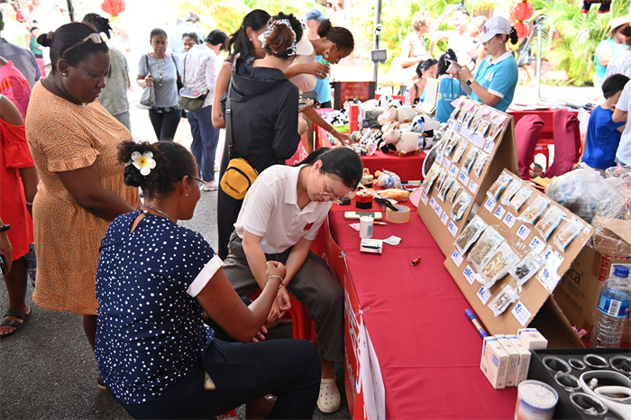 庙会现场。中国驻塞舌尔使馆供图