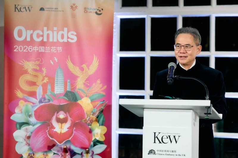 中国驻英国大使郑泽光致辞。杨浩鹏摄