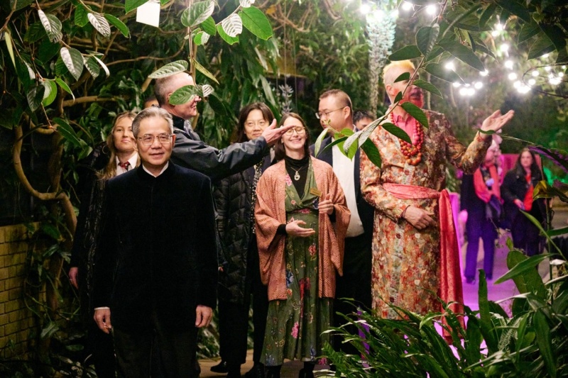 邱园兰花展现场。杨浩鹏摄