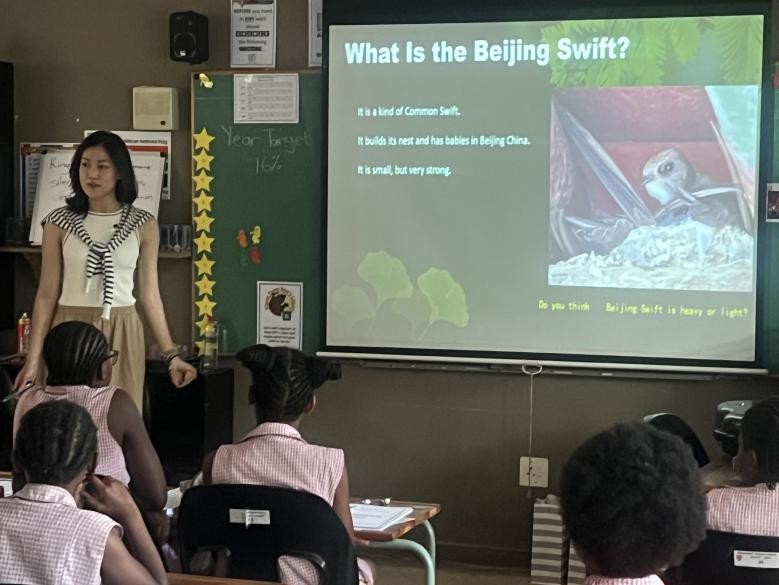 中国青年大学生志愿者科普北京雨燕知识。南非中国文化中心孔子课堂供图