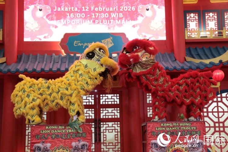 活动现场舞狮表演。人民网记者 曹师韵摄