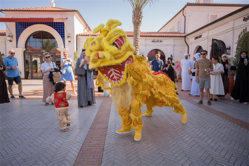 活动现场的精彩舞狮表演。主办方供图
