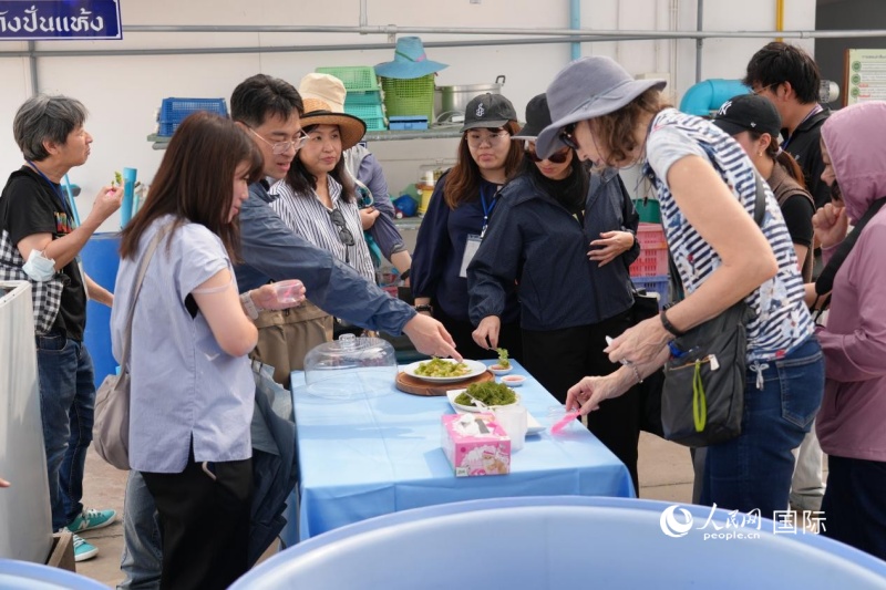 外媒记者品尝古法制作的海产品。人民网记者 简承渊摄