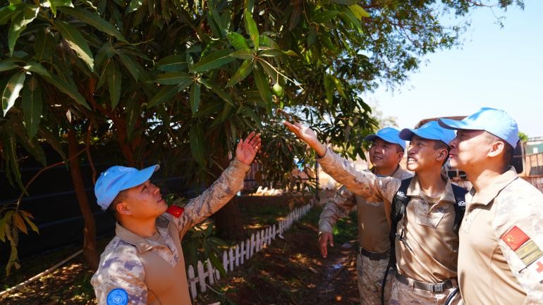 维和官兵在中孟友谊之树的果香中重温维和温暖瞬间。黄浩摄