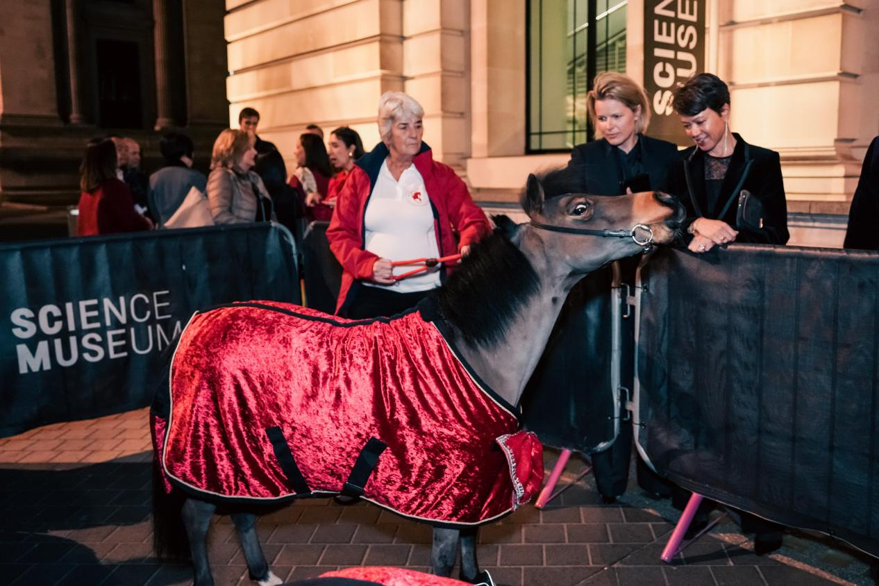 活动现场。主办方供图