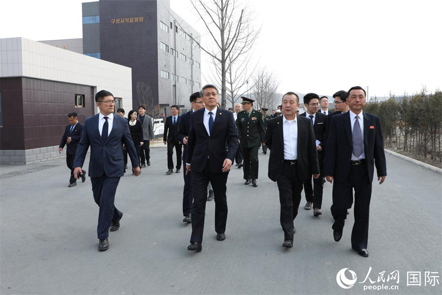 中方一行参观龟城市地方工业工厂。人民网记者 刘融摄