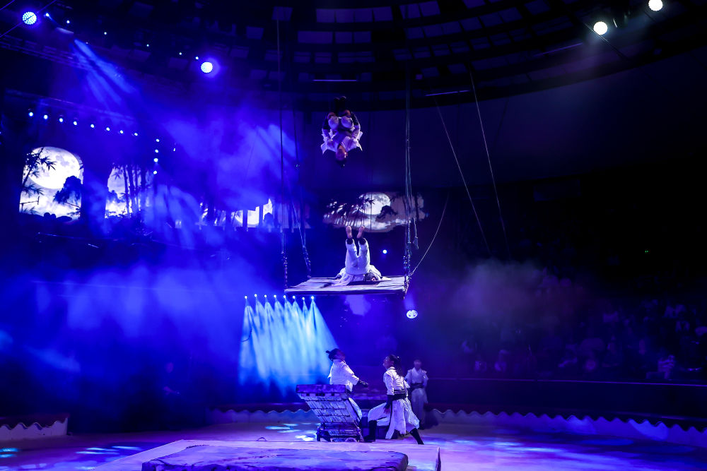 4月8日，在匈牙利首都布达佩斯，江苏省杂技团演员在表演《凌云踏浪——跳板秋千蹦床》。新华社发（鲍洛格·达维德摄）