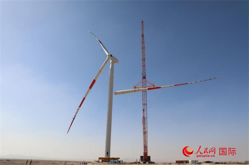 图为苏伊士湾1.1吉瓦风电总承包项目现场，工作人员正在进行风机吊装作业。人民网记者 沈小晓摄
