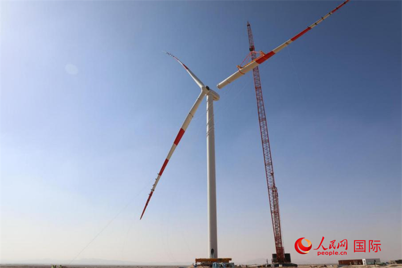 图为苏伊士湾1.1吉瓦风电总承包项目现场。人民网记者 沈小晓摄
