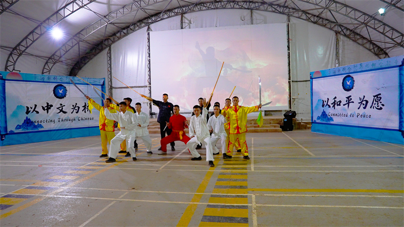 图7说：晚会现场中国官兵表演《武术串烧》 黄浩摄