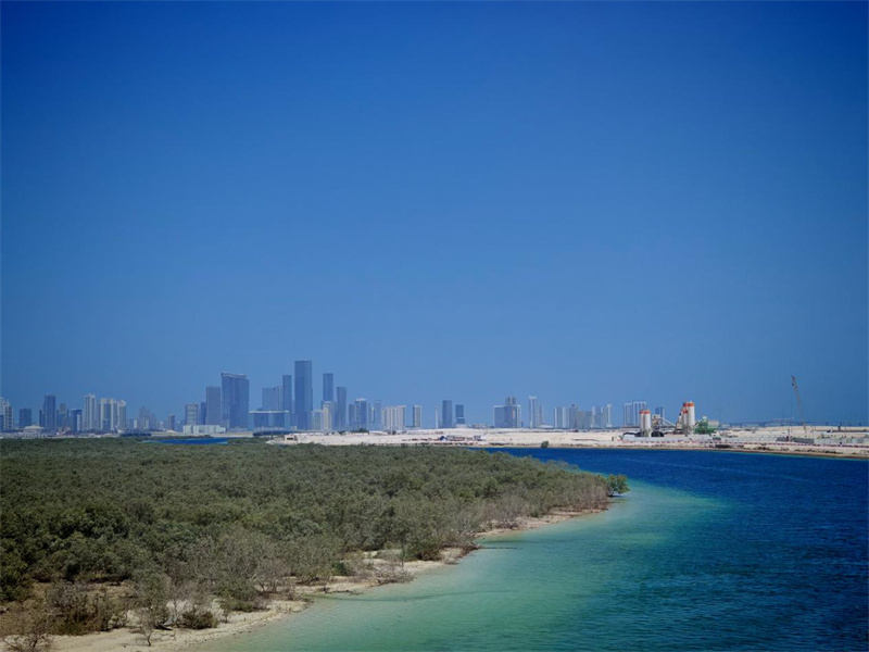 项目附近的红树林。中国港湾供图