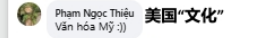 越南网友留言截图。
