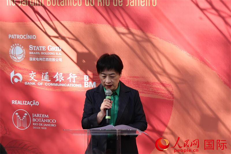 中国驻里约热内卢总领事田敏在开幕式中致辞。人民网记者 时元皓摄