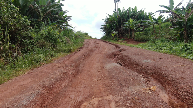 修复前的道路。