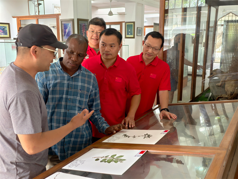 戴仕林教授(左)介绍所捐赠植物标本。中国援桑医疗队供图