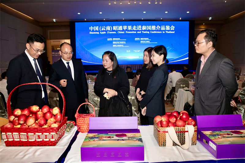 嘉宾现场品鉴产品。活动主办方供图