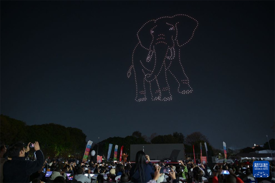 8月29日，在赞比亚首都卢萨卡，无人机群在空中展现非洲象图案。新华社记者 杨光 摄