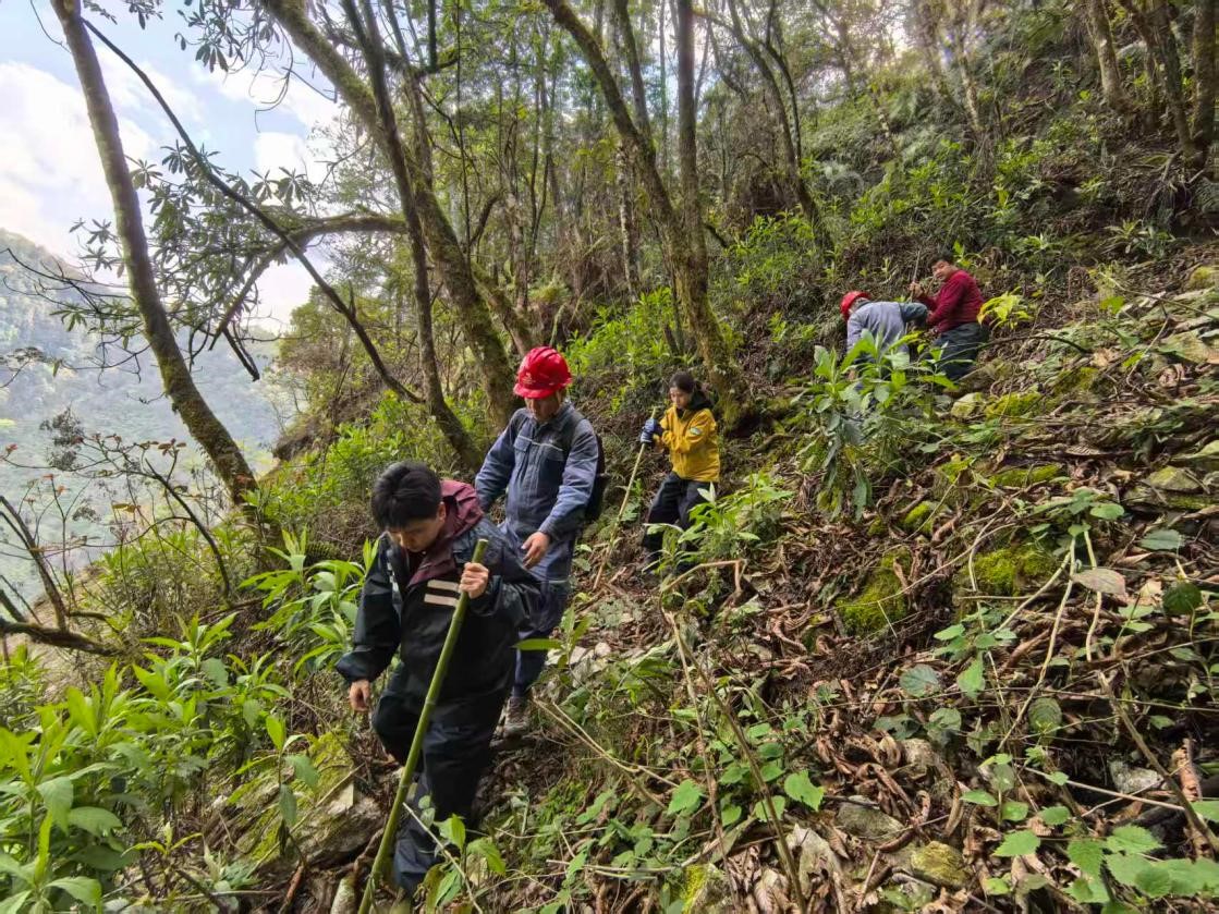 记者们在云南怒江跟拍工作人员翻山越岭运维电力设施。