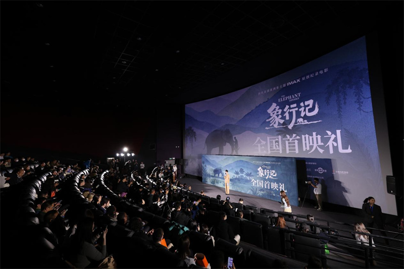纪录电影《象行记》全国首映礼现场。电影出品方供图
