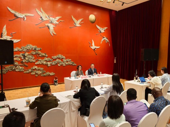 图为“临甲7号沙龙”专题吹风会现场。新华社记者 袁睿 摄