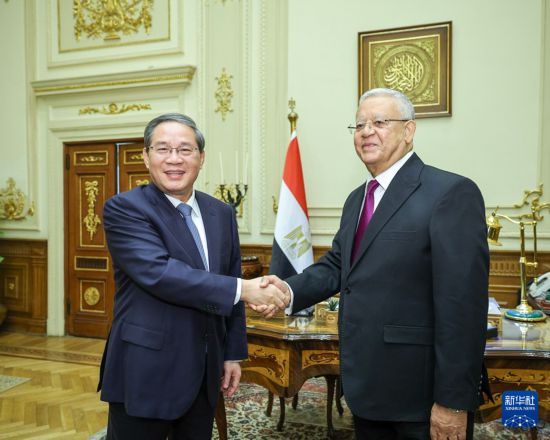 当地时间7月9日,国务院总理李强在开罗会见埃及众议长贾巴利。新华社记者 刘彬 摄