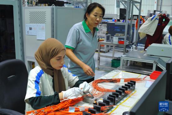 9月8日,一名中国工人(右)在突尼斯本阿鲁斯省一家中国企业投资的汽车零配件厂指导突尼斯工人进行生产。新华社发(阿代尔摄)