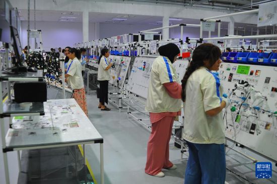9月8日,突尼斯工人在突尼斯本阿鲁斯省一家中国企业投资的汽车零配件厂进行生产。新华社发(阿代尔摄)